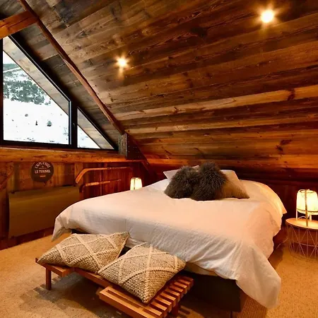 Alpe D'Huez Duplex Proximite Remontees Mecaniques Apartment Huez